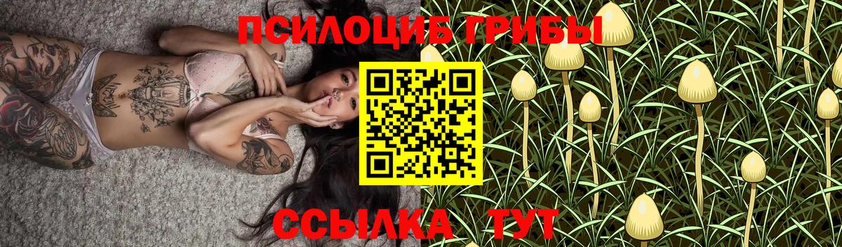 Псилоцибиновые грибы ЛСД Городец