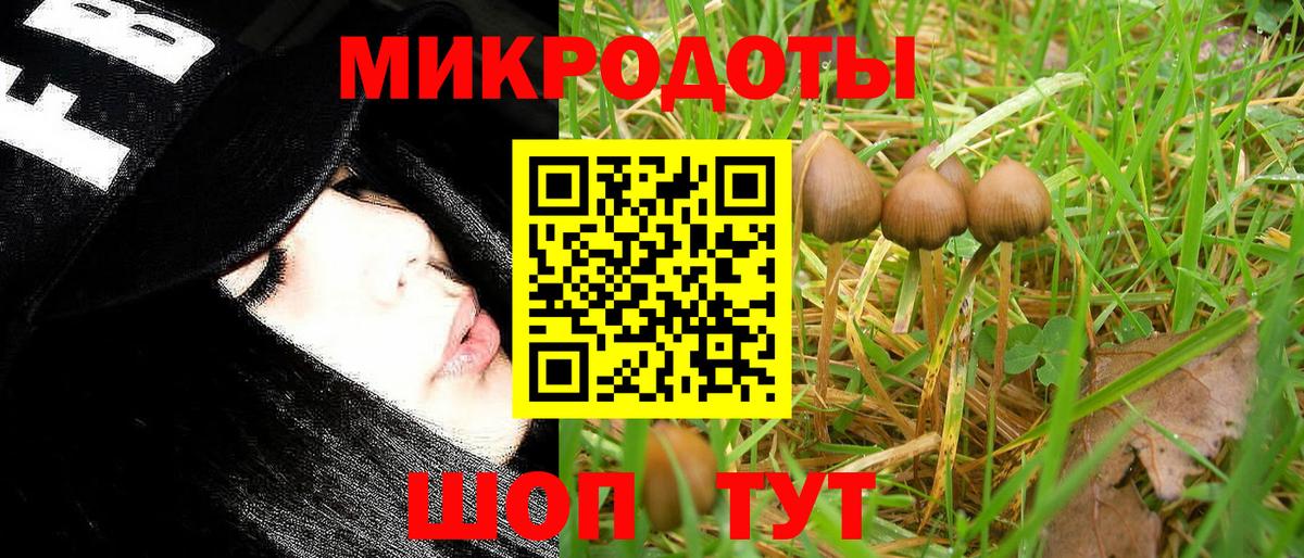 Городец  Псилоцибиновые грибы MAGIC MUSHROOMS  Вход с VPN 